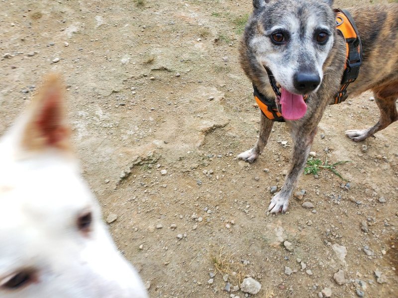 f:id:roukenhome-ann:20190930083728j:plain