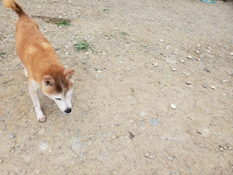f:id:roukenhome-ann:20190930084006j:plain