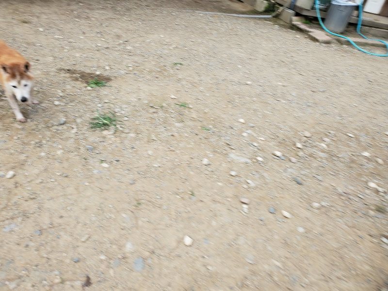 f:id:roukenhome-ann:20190930084011j:plain