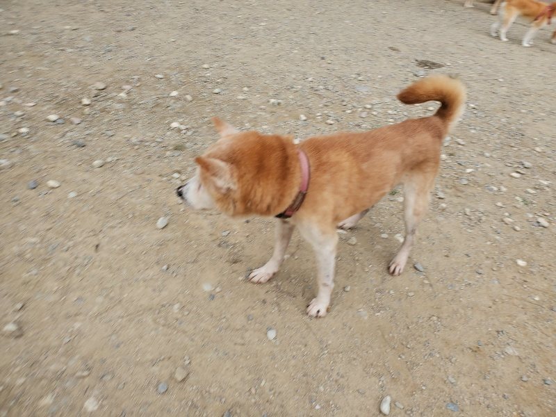 f:id:roukenhome-ann:20190930084016j:plain