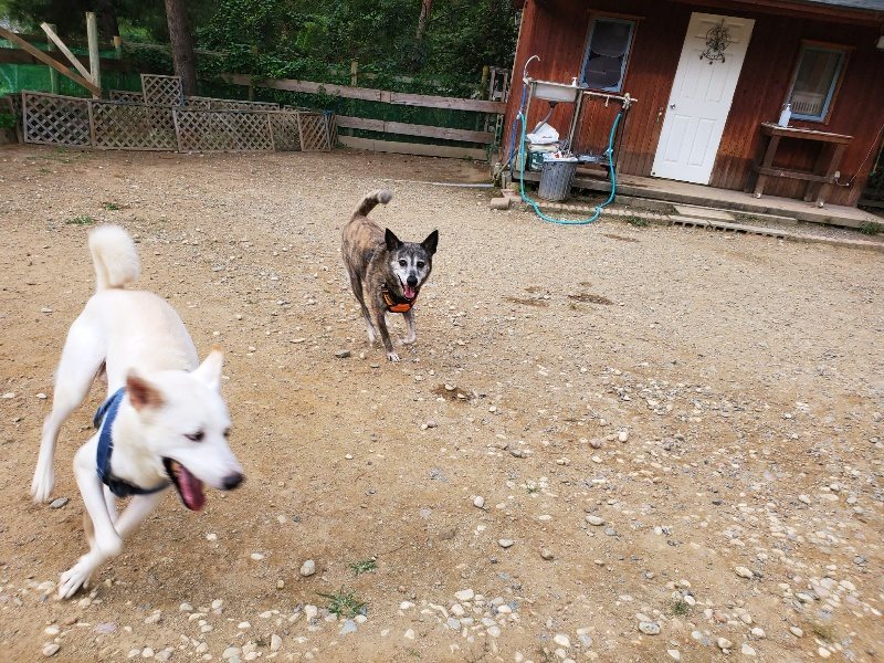 f:id:roukenhome-ann:20190930084041j:plain
