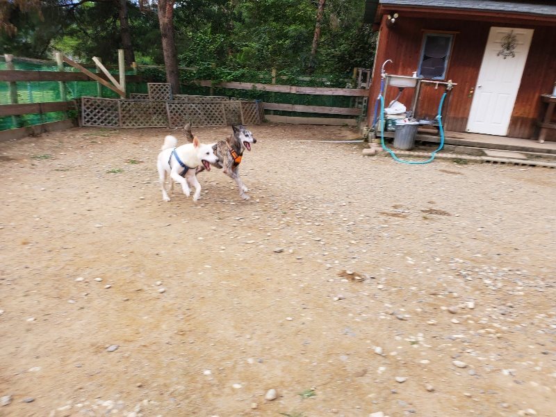 f:id:roukenhome-ann:20190930084046j:plain