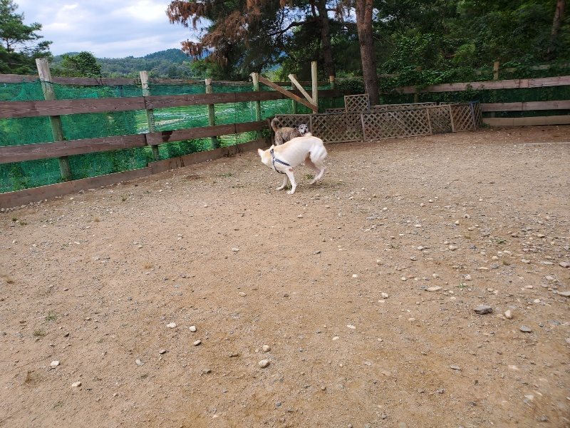 f:id:roukenhome-ann:20190930084105j:plain