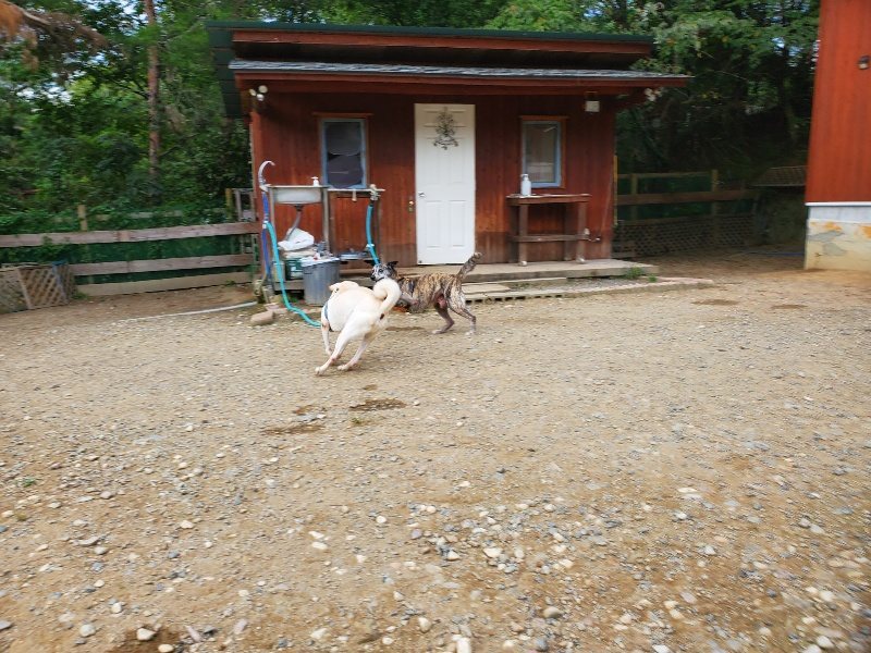 f:id:roukenhome-ann:20190930084110j:plain