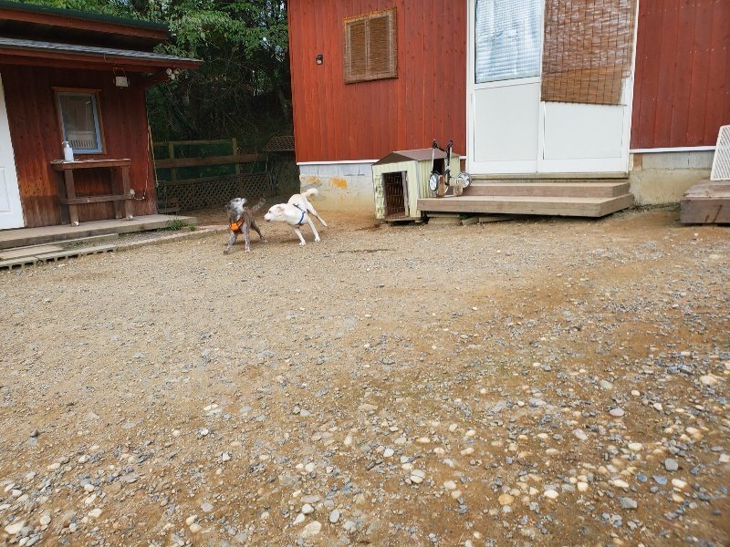 f:id:roukenhome-ann:20190930084117j:plain