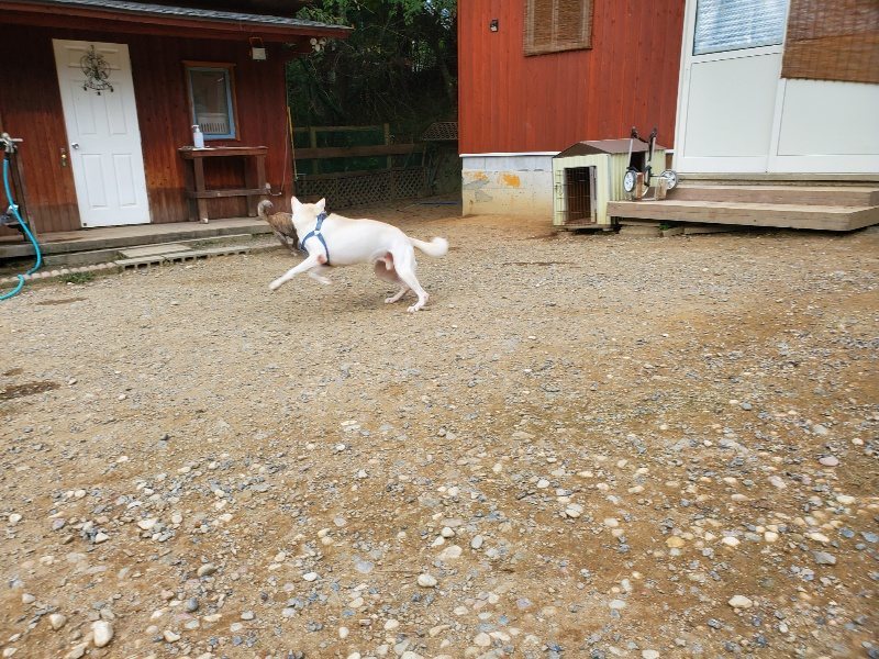 f:id:roukenhome-ann:20190930084123j:plain
