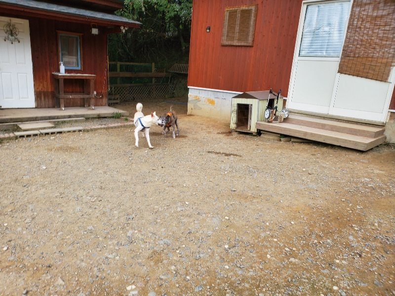 f:id:roukenhome-ann:20190930084128j:plain