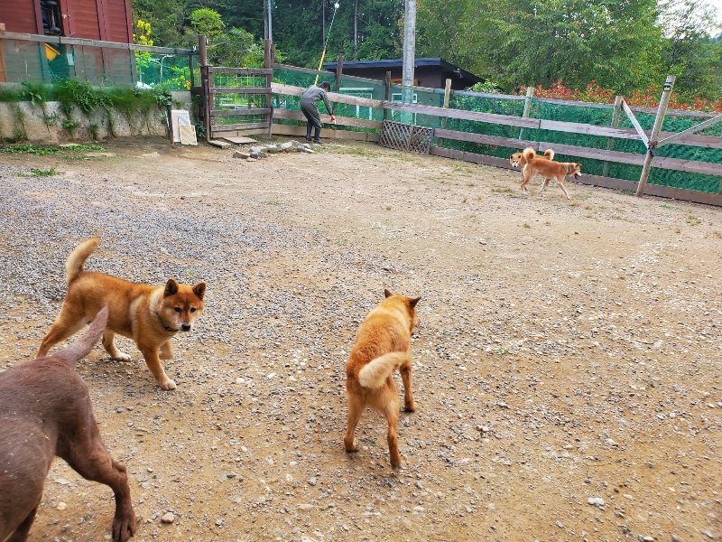 f:id:roukenhome-ann:20190930084143j:plain