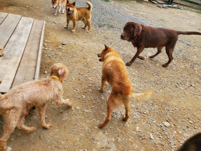f:id:roukenhome-ann:20190930084207j:plain