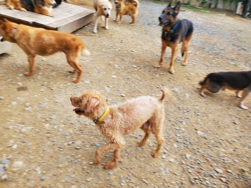 f:id:roukenhome-ann:20190930084224j:plain