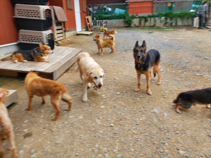 f:id:roukenhome-ann:20190930084230j:plain