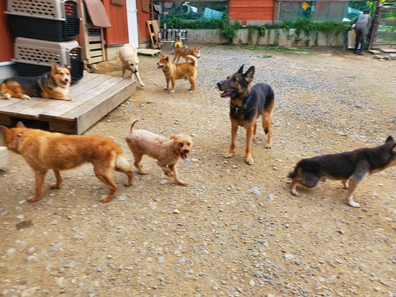 f:id:roukenhome-ann:20190930084242j:plain
