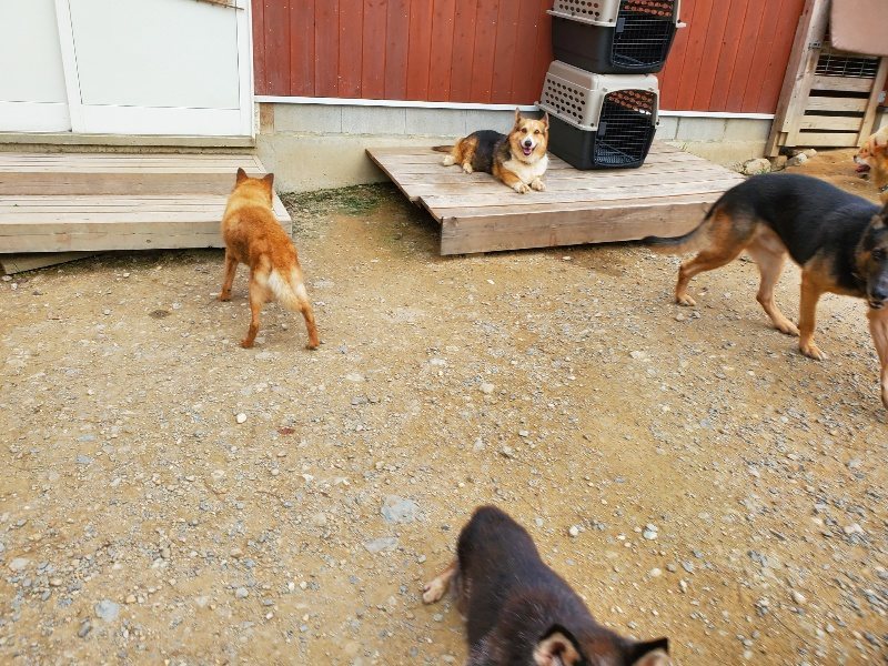 f:id:roukenhome-ann:20190930084317j:plain