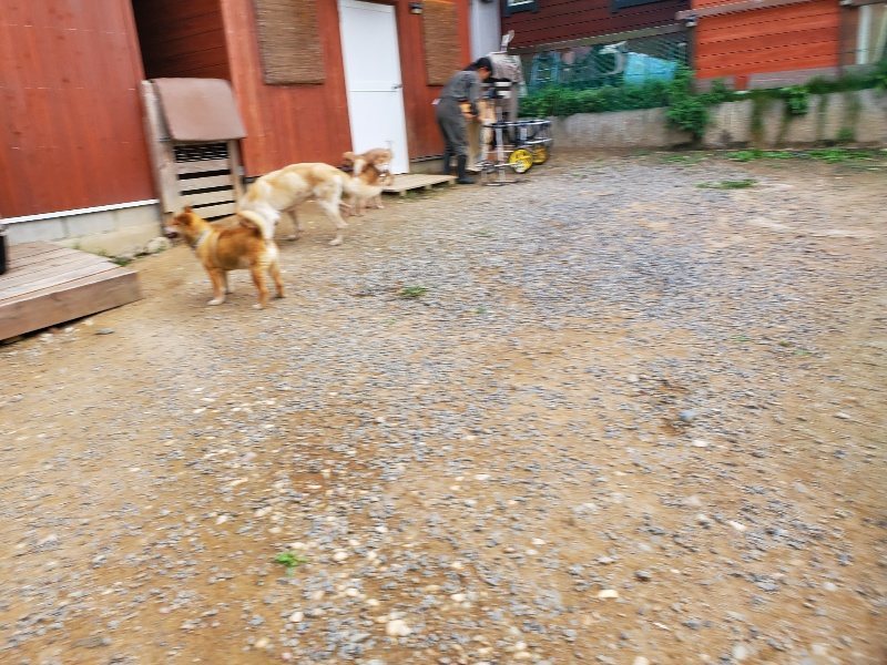 f:id:roukenhome-ann:20190930084323j:plain