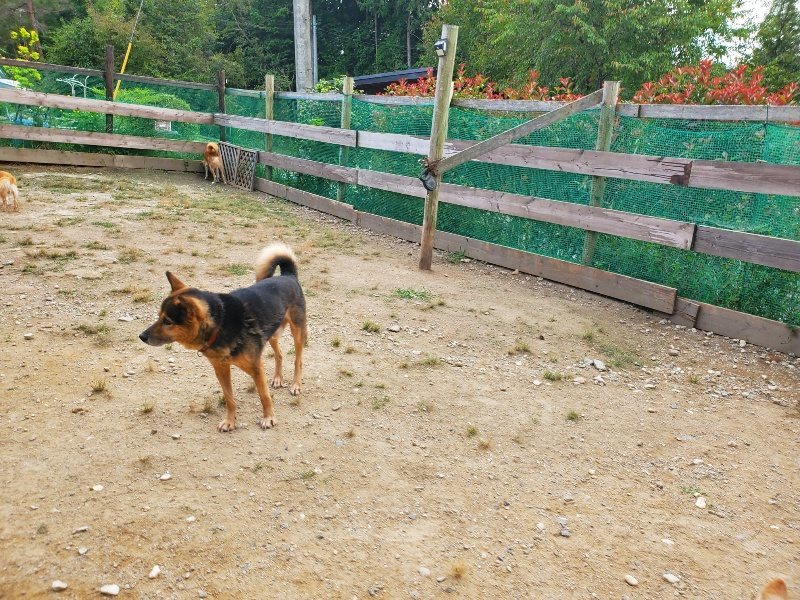 f:id:roukenhome-ann:20190930084349j:plain