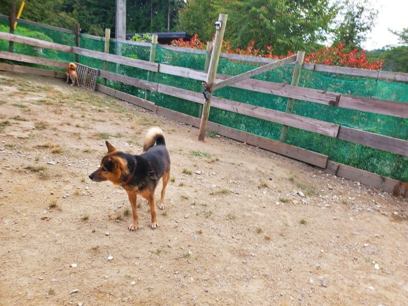 f:id:roukenhome-ann:20190930084356j:plain
