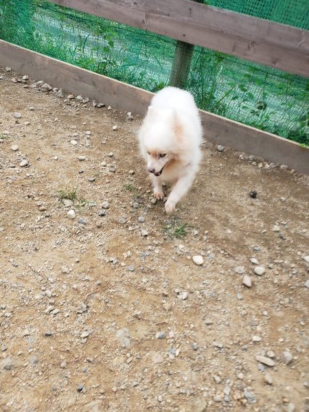 f:id:roukenhome-ann:20190930084408j:plain