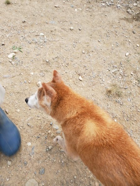 f:id:roukenhome-ann:20190930084416j:plain