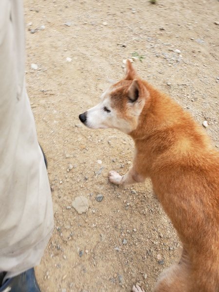 f:id:roukenhome-ann:20190930084421j:plain