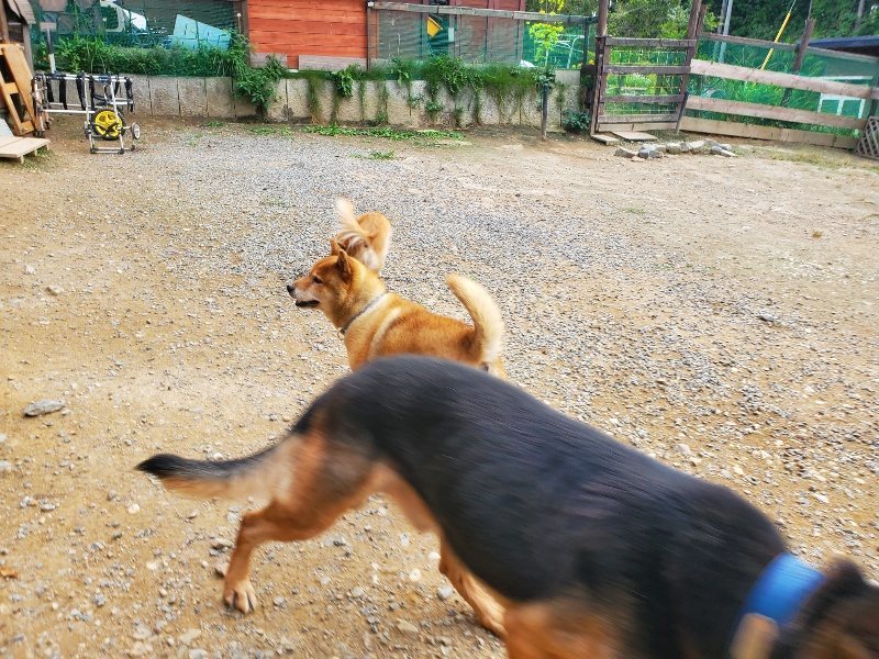 f:id:roukenhome-ann:20190930113729j:plain