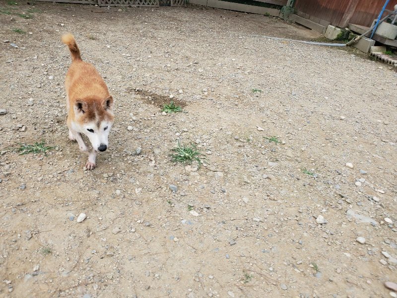 f:id:roukenhome-ann:20190930113739j:plain
