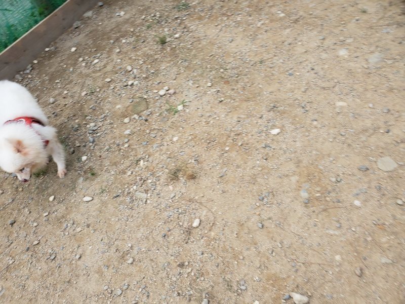 f:id:roukenhome-ann:20190930113750j:plain