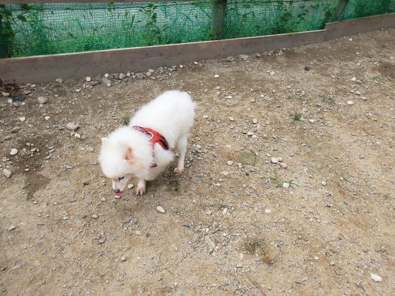 f:id:roukenhome-ann:20190930113755j:plain