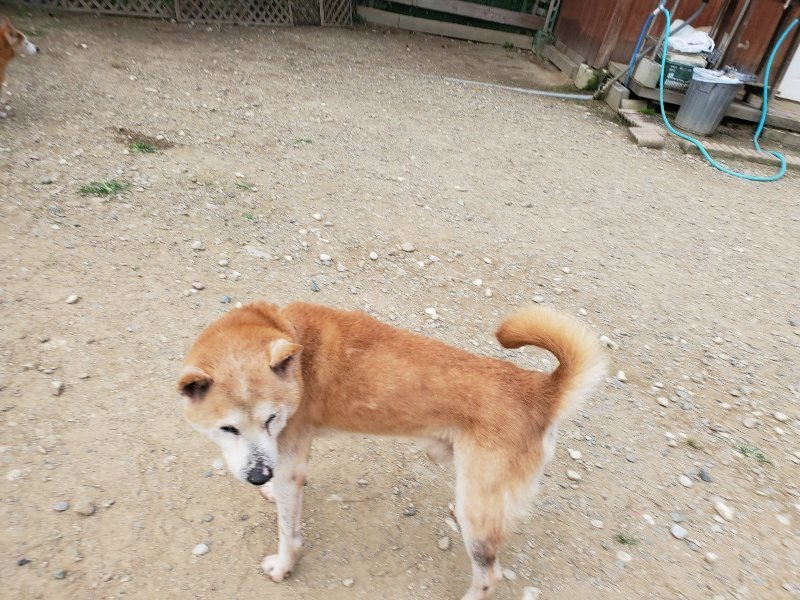 f:id:roukenhome-ann:20190930113801j:plain