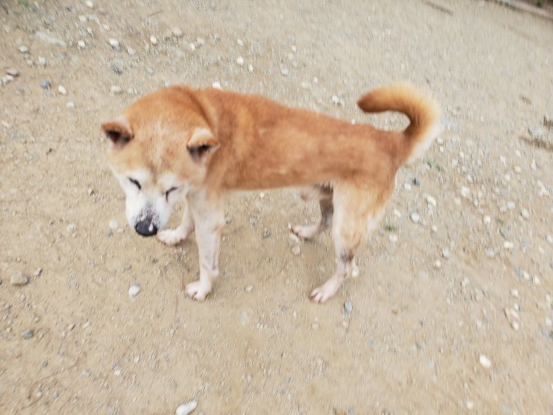 f:id:roukenhome-ann:20190930113813j:plain