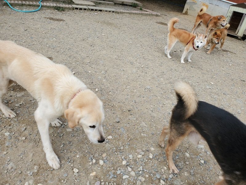 f:id:roukenhome-ann:20190930113825j:plain