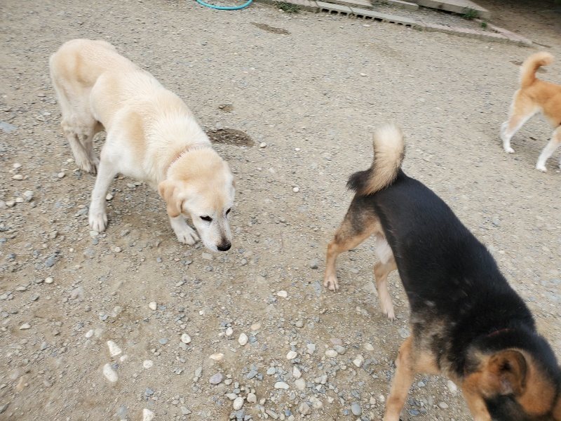 f:id:roukenhome-ann:20190930113836j:plain