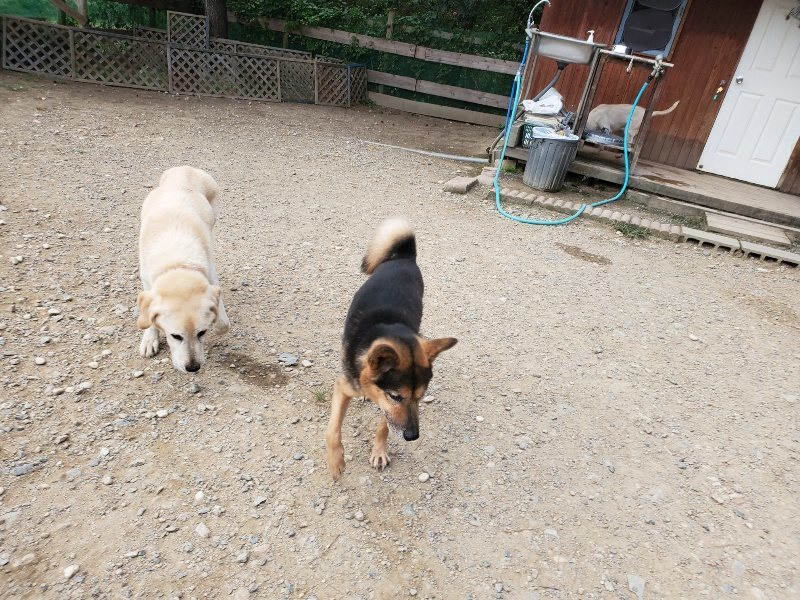f:id:roukenhome-ann:20190930113842j:plain