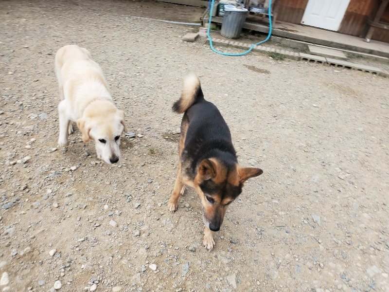 f:id:roukenhome-ann:20190930113847j:plain