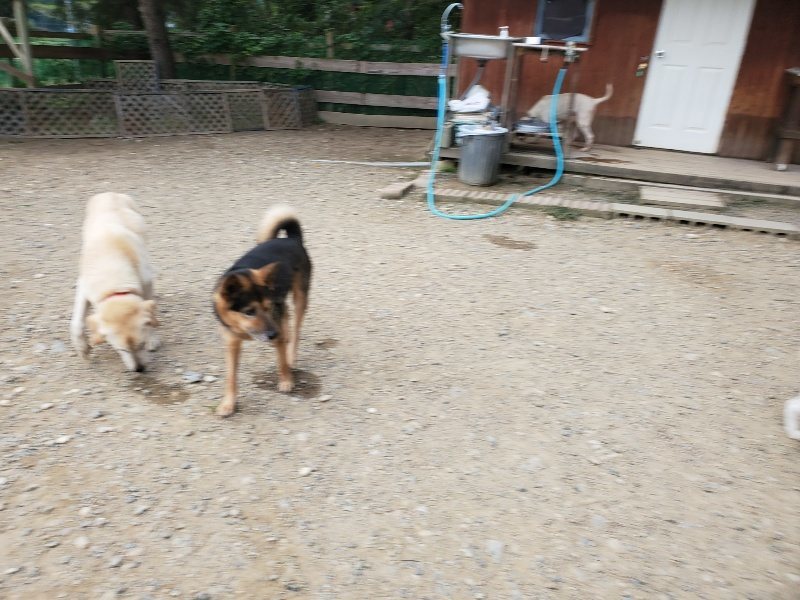 f:id:roukenhome-ann:20190930113851j:plain