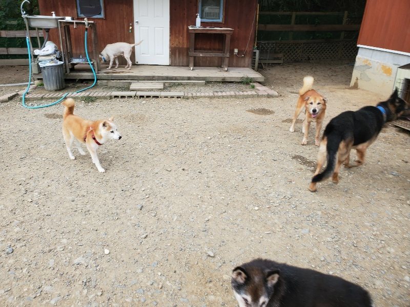 f:id:roukenhome-ann:20190930113856j:plain