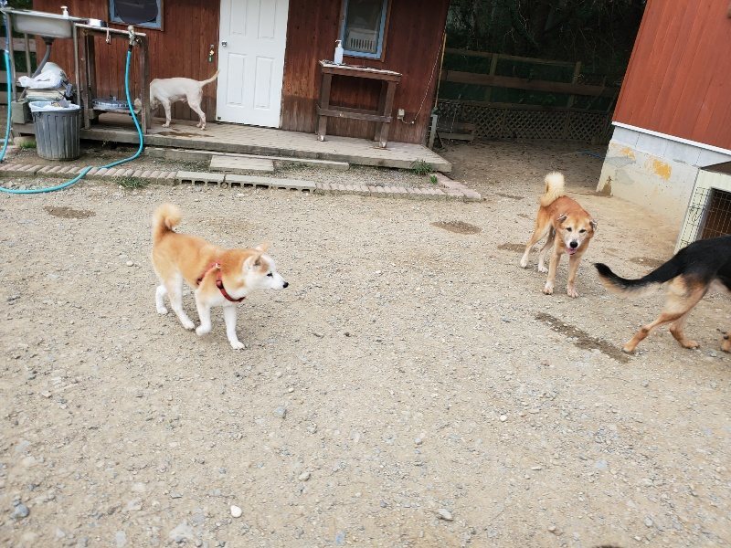 f:id:roukenhome-ann:20190930113902j:plain