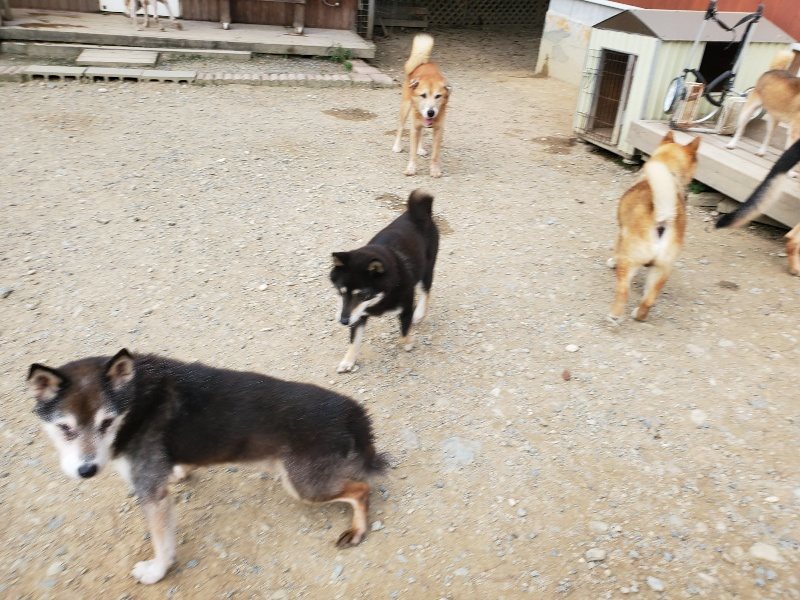 f:id:roukenhome-ann:20190930113906j:plain