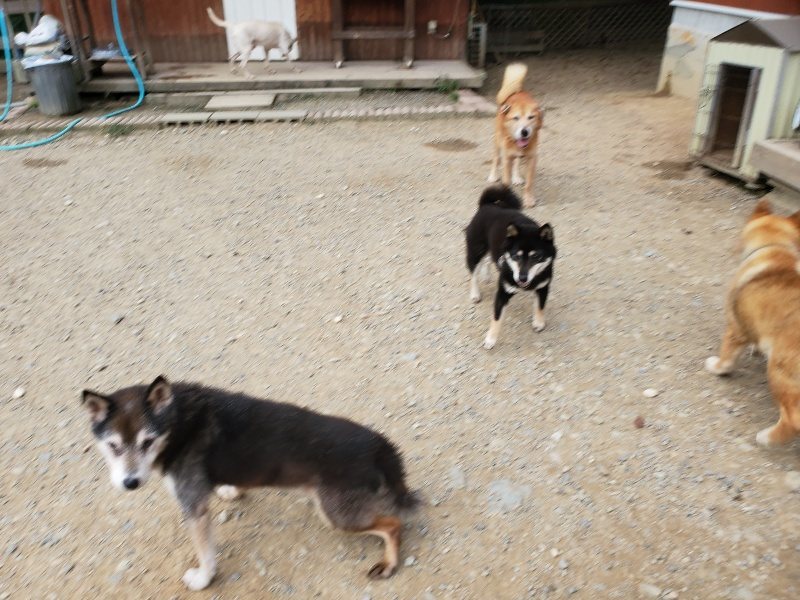 f:id:roukenhome-ann:20190930113911j:plain