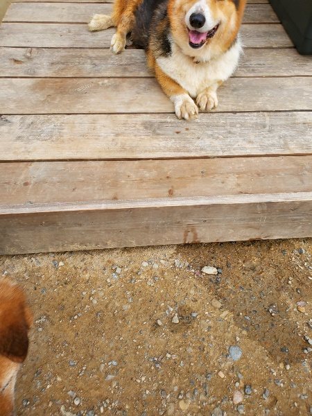 f:id:roukenhome-ann:20190930114002j:plain