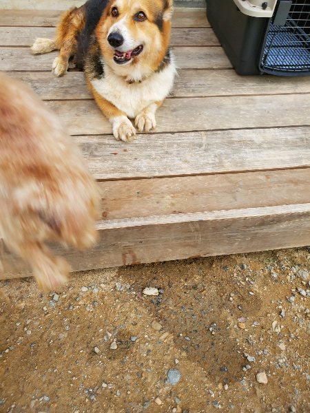 f:id:roukenhome-ann:20190930114006j:plain