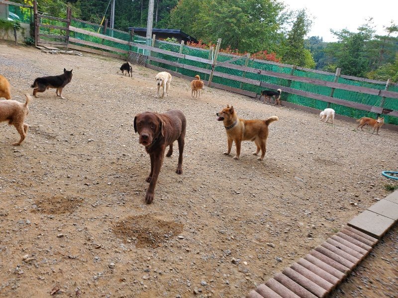 f:id:roukenhome-ann:20190930120153j:plain
