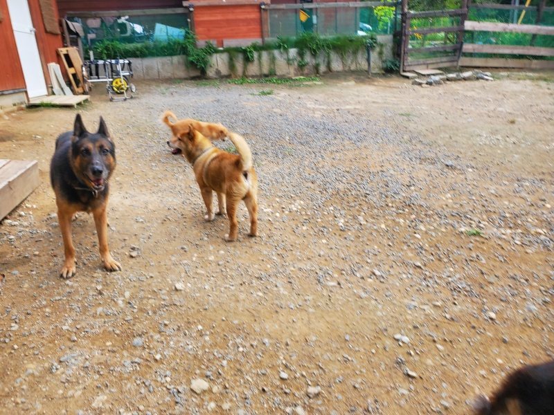 f:id:roukenhome-ann:20190930120159j:plain