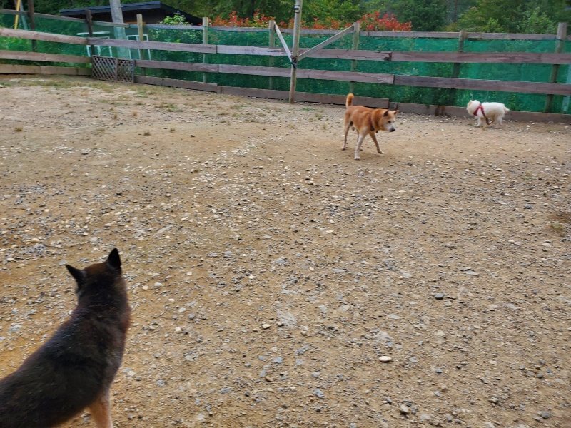 f:id:roukenhome-ann:20190930120211j:plain