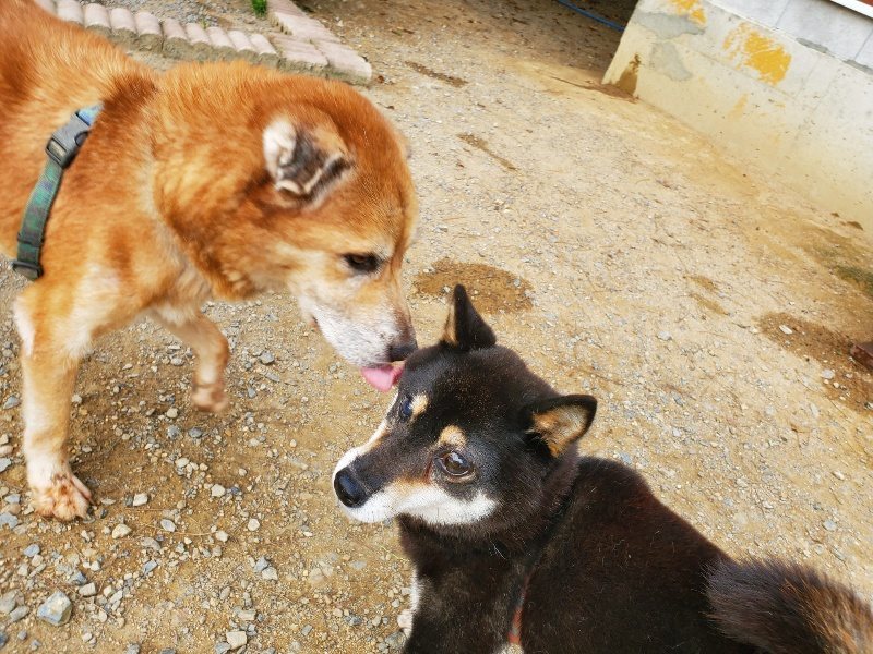 f:id:roukenhome-ann:20190930120231j:plain