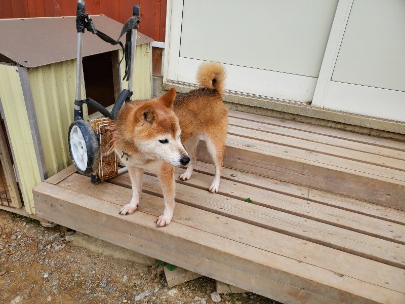 f:id:roukenhome-ann:20190930120251j:plain