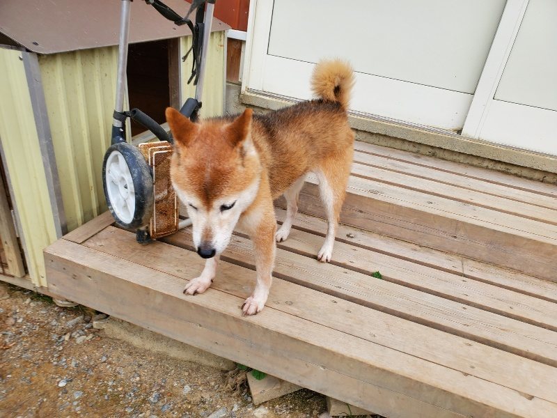 f:id:roukenhome-ann:20190930120300j:plain