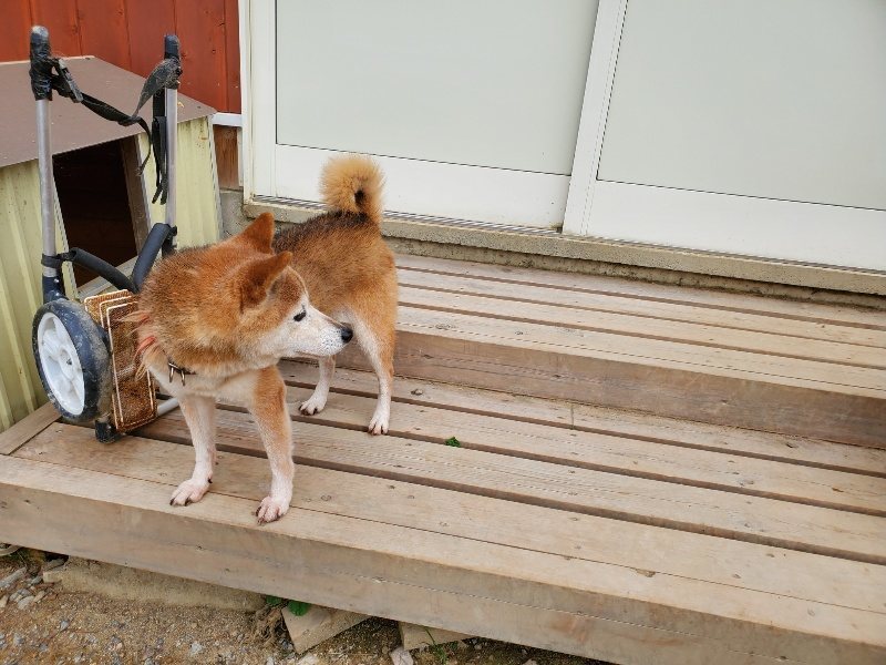 f:id:roukenhome-ann:20190930120308j:plain
