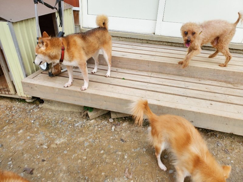f:id:roukenhome-ann:20190930120312j:plain