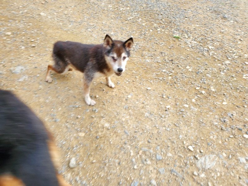 f:id:roukenhome-ann:20190930120332j:plain