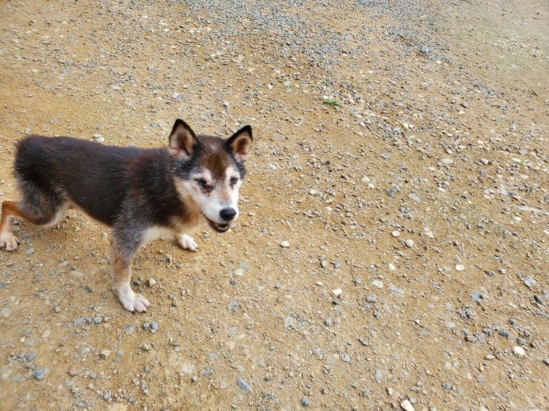 f:id:roukenhome-ann:20190930120343j:plain